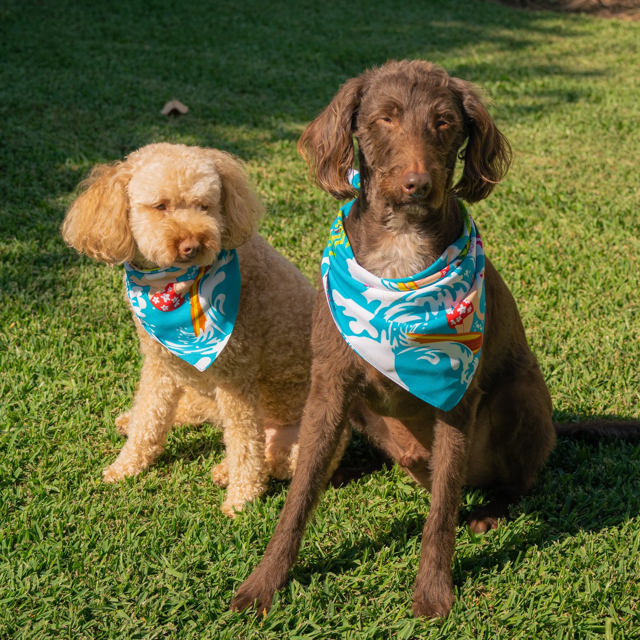 Blue Surfing Santa - Dog Bandana