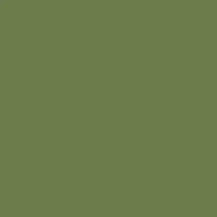 Leather Colour Cream Kit - Olive